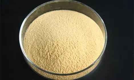 Is Hydrolyzed Corn Protein Powder a Safe Allergen-Free Option?